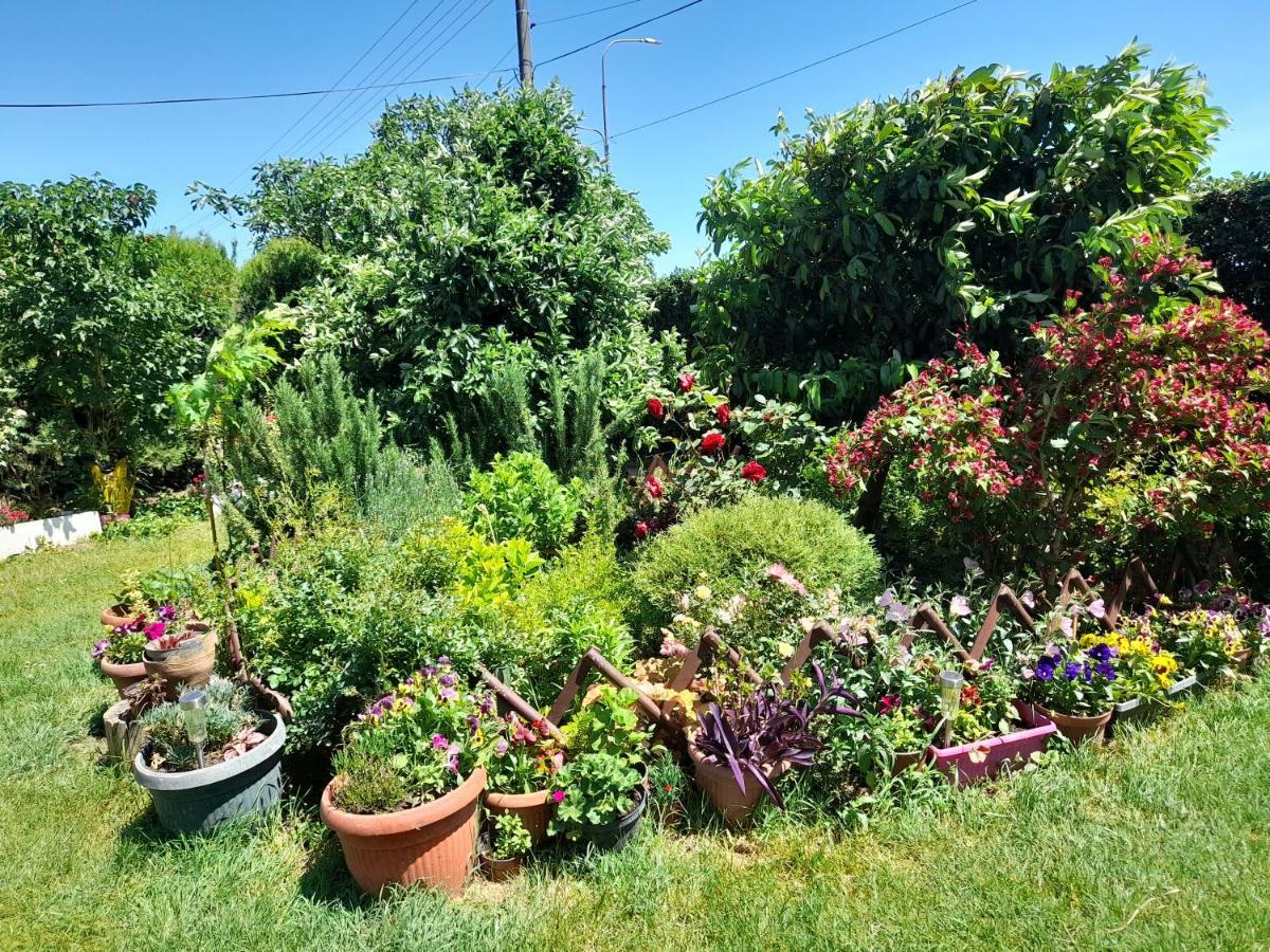 Soba Lavanda Kladovo Bagian luar foto