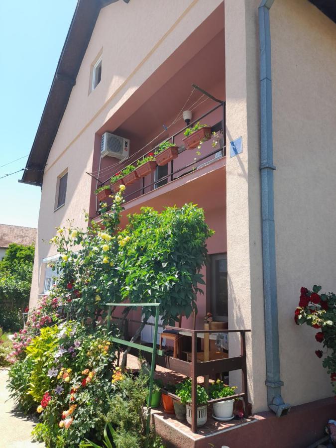 Soba Lavanda Kladovo Bagian luar foto