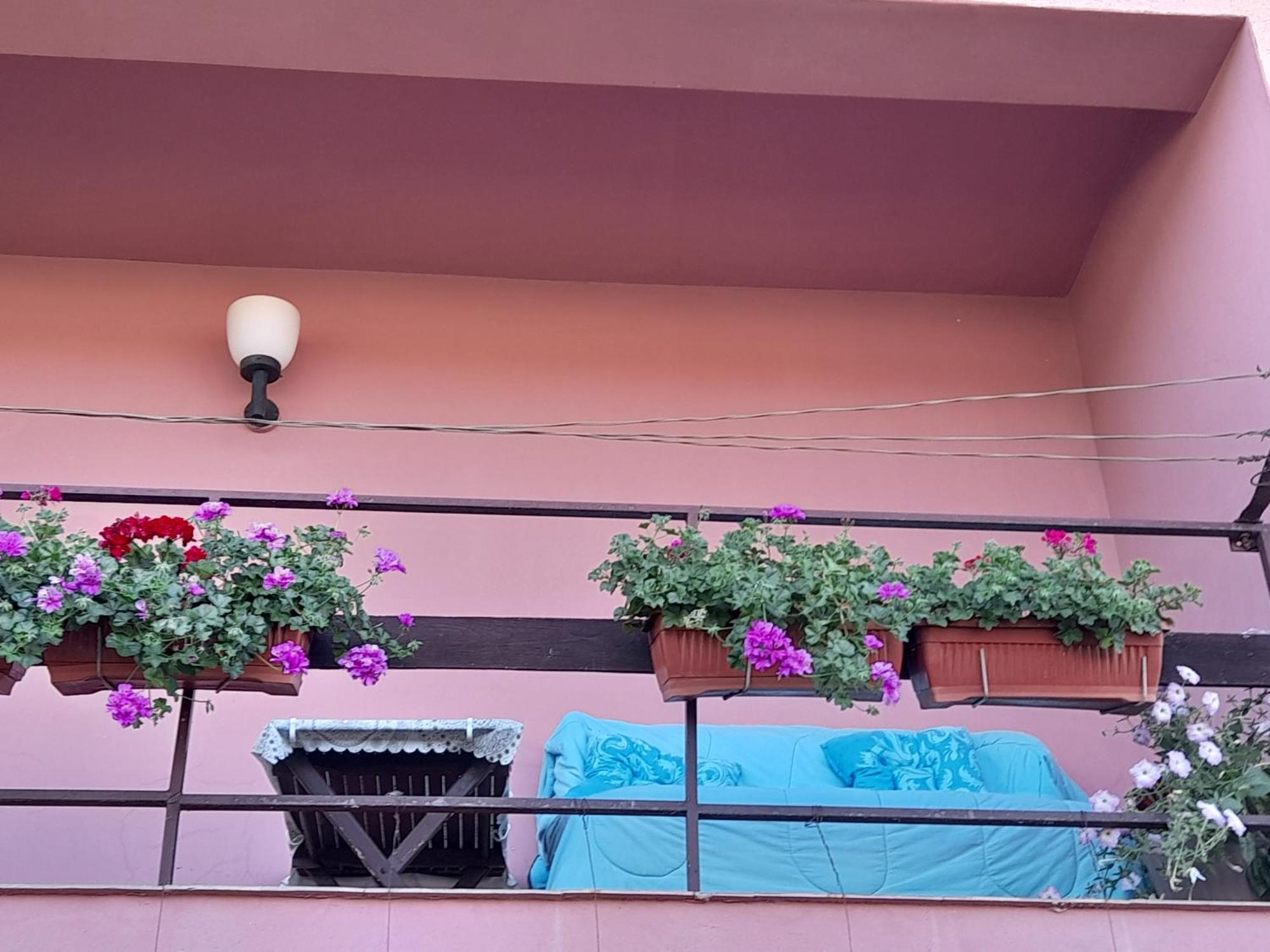 Soba Lavanda Kladovo Bagian luar foto