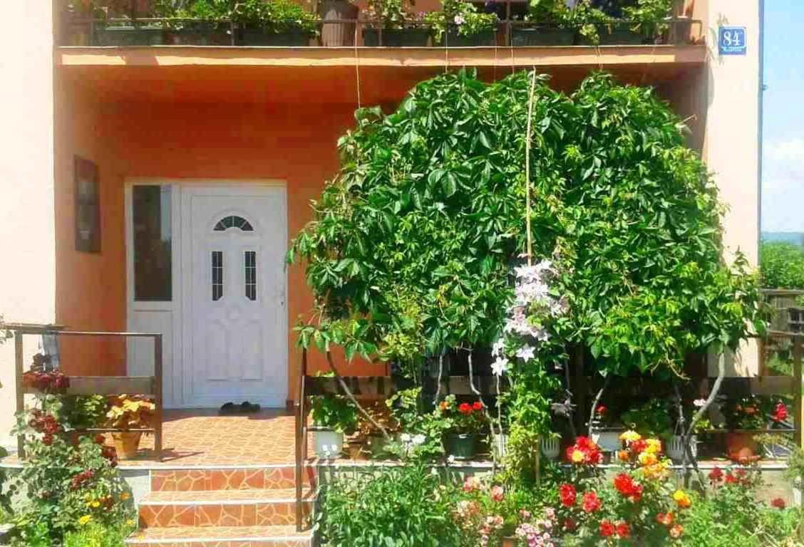 Soba Lavanda Kladovo Bagian luar foto