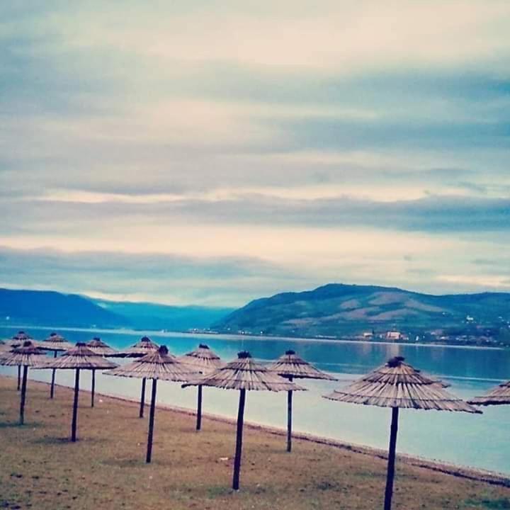 Soba Lavanda Kladovo Bagian luar foto