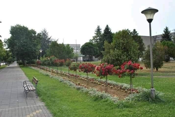 Soba Lavanda Kladovo Bagian luar foto