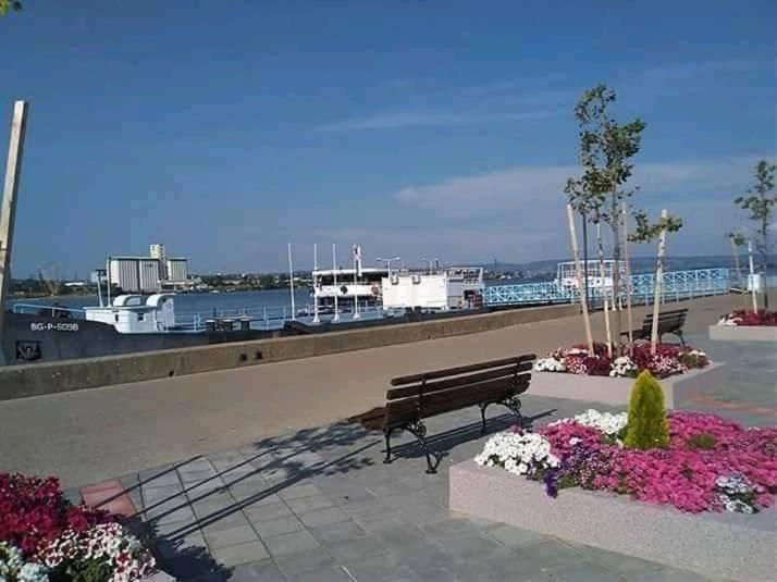 Soba Lavanda Kladovo Bagian luar foto